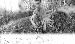 Lao động chui ở Trung Quốc: Nỗi khiếp đảm bị mua bán trao tay